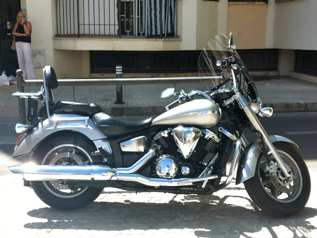 Mi Midnight Star, recién lavada, al sol en la puerta de casa.