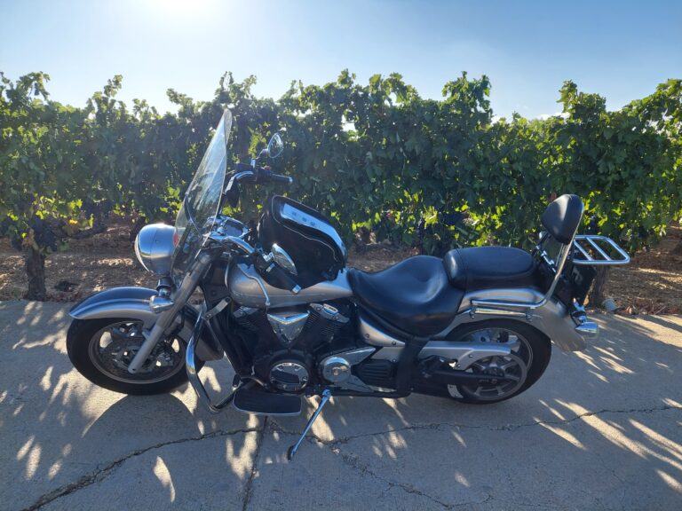 Mi moto, entre los viñedos de la zona próxima a Aranda de Duero.